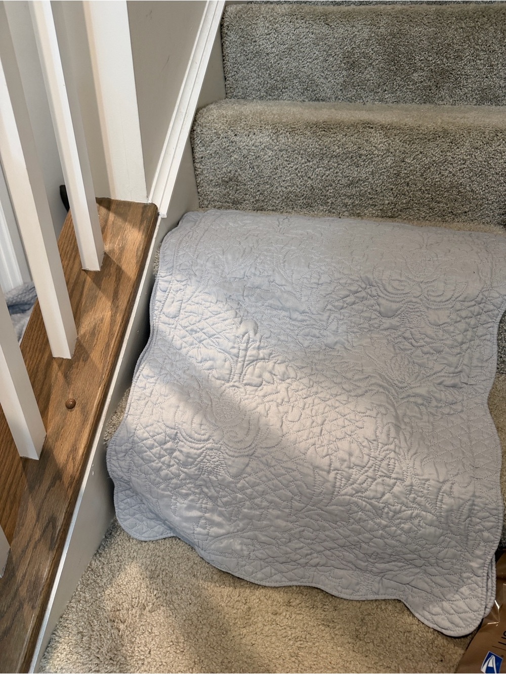 Set of 2 Light Gray Soft and Stylish Pillow Cover